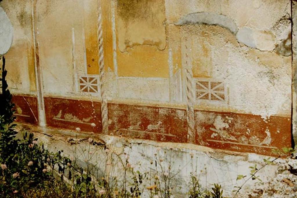 VII.1.47 Pompeii. 1957. Painted wall decoration on wall in triclinium on north-east side of atrium. In the centre of the yellow panel, the painting would have been of the wounded Aeneas. Photo by Stanley A. Jashemski.
Source: The Wilhelmina and Stanley A. Jashemski archive in the University of Maryland Library, Special Collections (See collection page) and made available under the Creative Commons Attribution-Non Commercial License v.4. See Licence and use details.
J57f0123