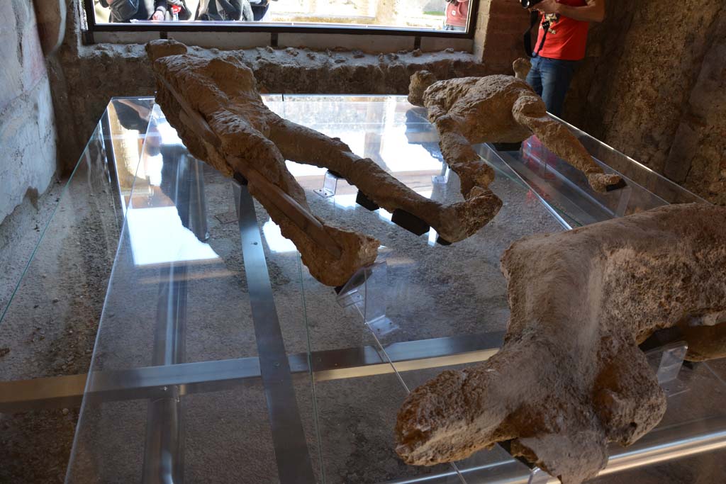 VII.1.47 Pompeii. March 2017. Room 8, looking across plaster-casts towards window in east wall.
Photo courtesy Adrian Hielscher.