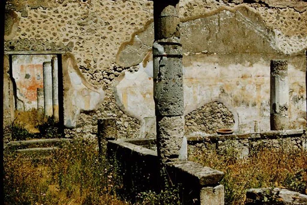 VII.1.47 Pompeii. 1957. Looking north from walled peristyle garden 19 towards steps leading to a second peristyle 31.
Photo by Stanley A. Jashemski.
Source: The Wilhelmina and Stanley A. Jashemski archive in the University of Maryland Library, Special Collections (See collection page) and made available under the Creative Commons Attribution-Non-Commercial License v.4. See Licence and use details.
J57f0126