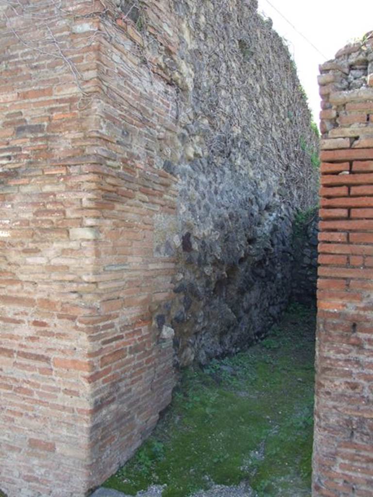 VII.2.8 Pompeii. March 2009. Entrance and South wall.