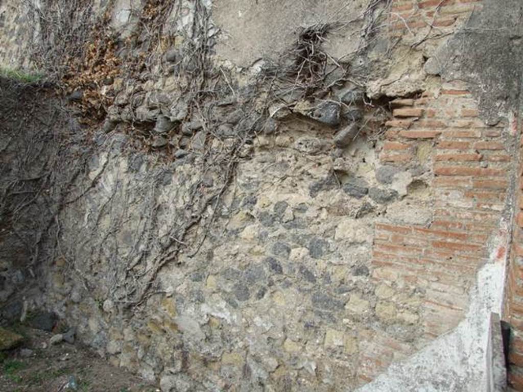 VII.2.10 Pompeii. Shop. December 2007. North wall.