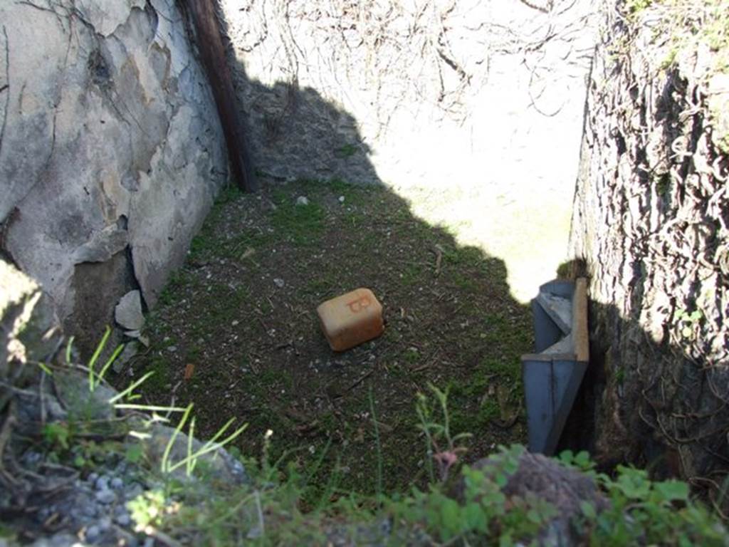 VII.2.11 Pompeii.  March 2009.  Small room on west side of Oecus. Looking north, photo taken from VII.2.16.