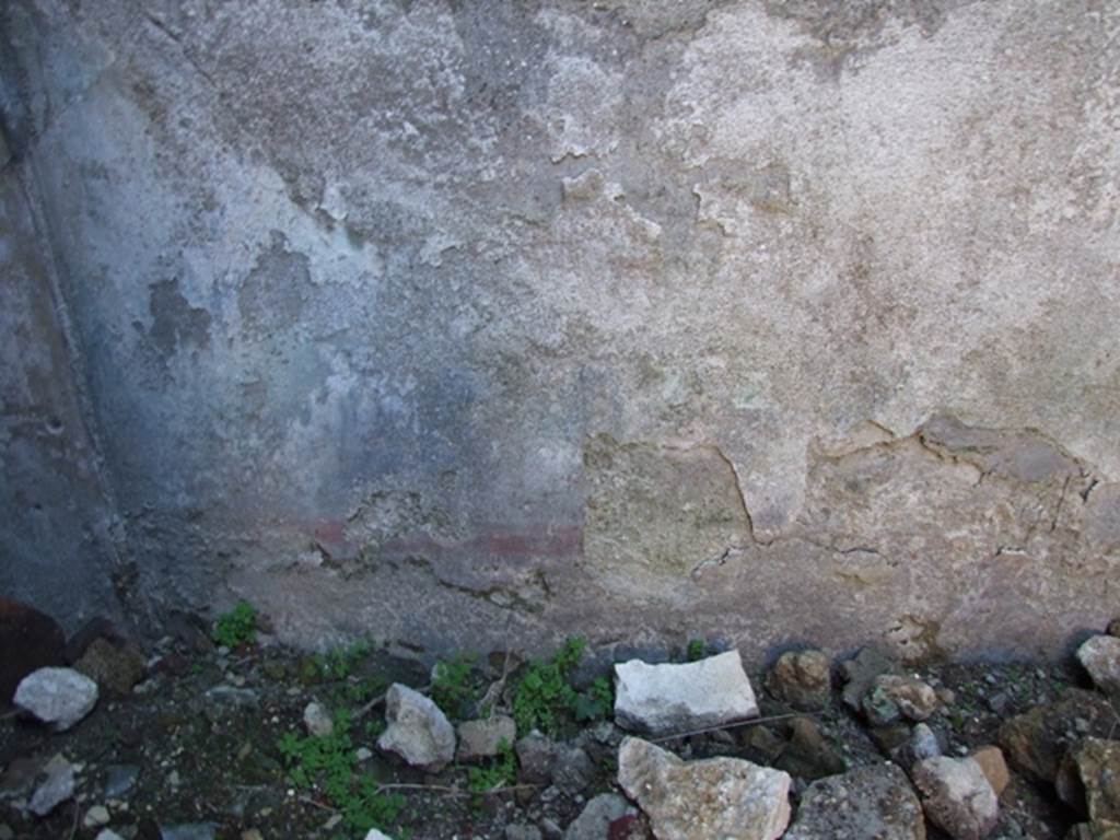VII.2.14 Pompeii. March 2009. Garden room. West wall remains of garden wall painting. Some plants, a red border and possibly the round basin of the fountain can be seen.