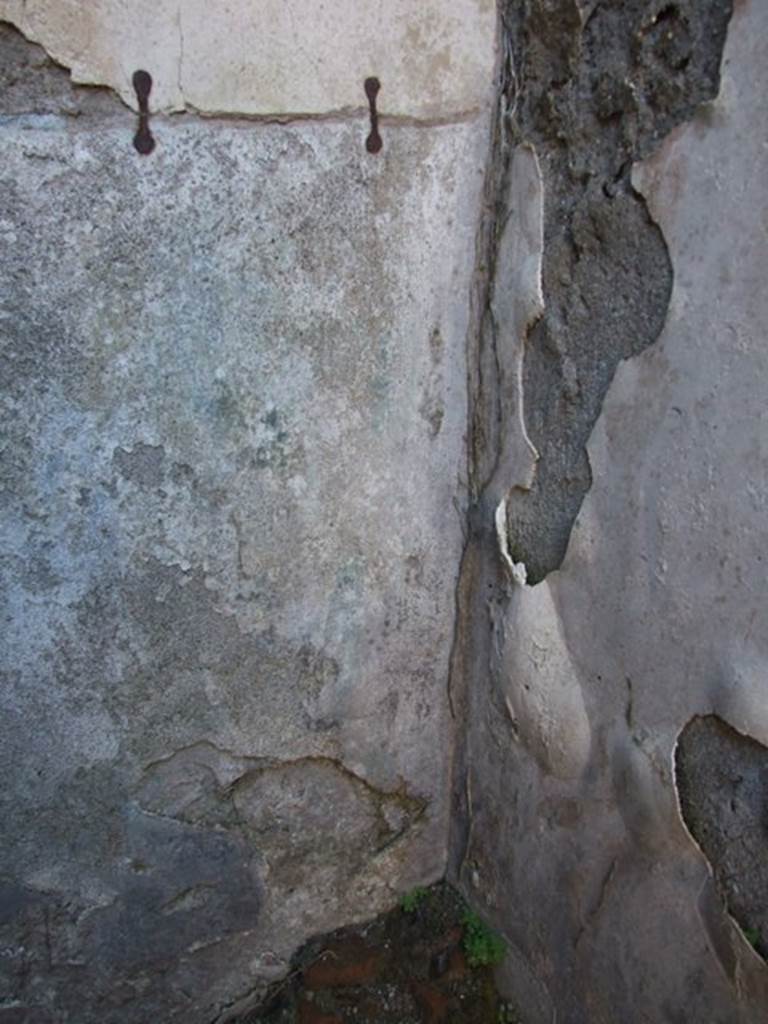 VII.2.14 Pompeii. March 2009. Garden room. North west corner. Remains of painted plants can just be seen.
