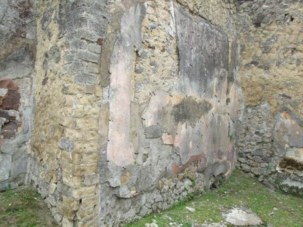 VII.2.14 Pompeii. March 2009. Tablinum. South wall.