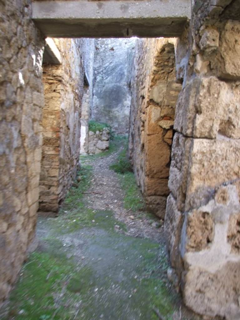 VII.2.14 Pompeii. March 2009. Corridor to rear.