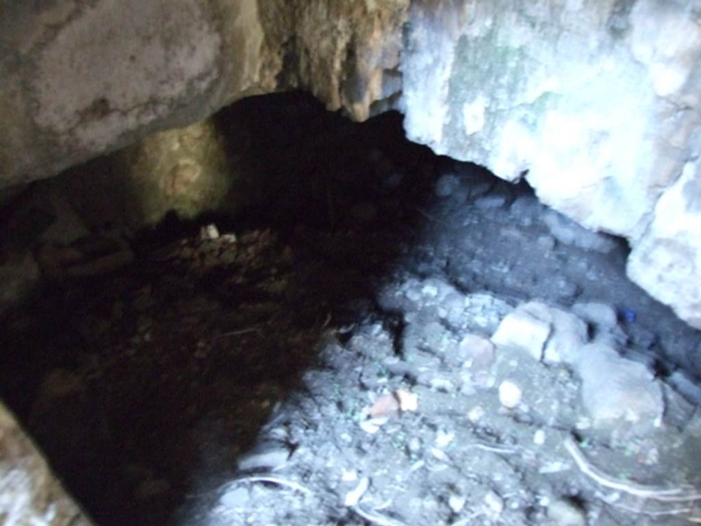 VII.2.14 Pompeii. March 2009. Underground cellar.