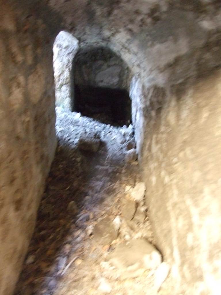 VII.2.14 Pompeii. March 2009. Underground cellars at entrance to two rooms on north side of corridor.