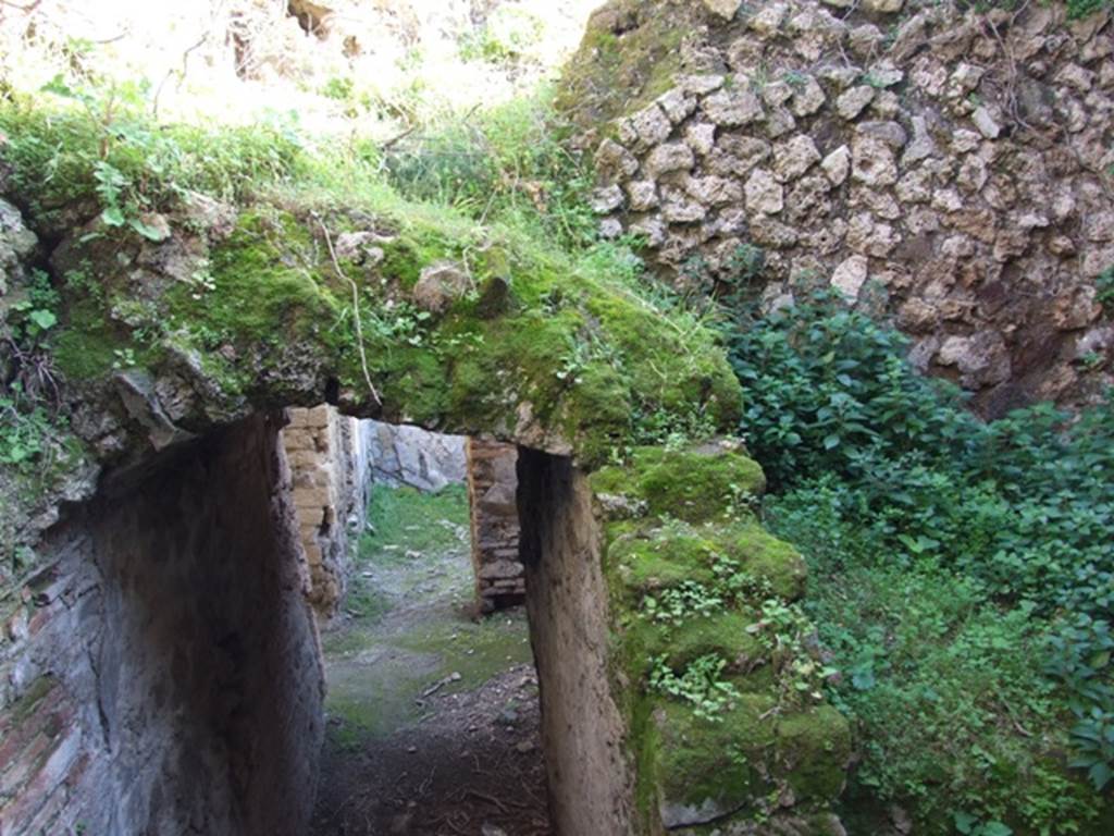 VII.2.14 Pompeii. March 2009. Two rooms on north side of corridor. Entrance from corridor.