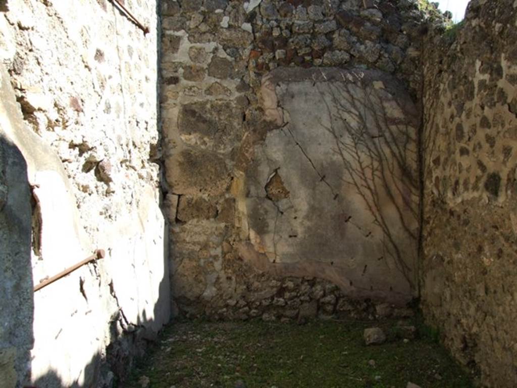 VII.2.16 Pompeii.  March 2009.  Room 5.  Cubiculum. East wall.