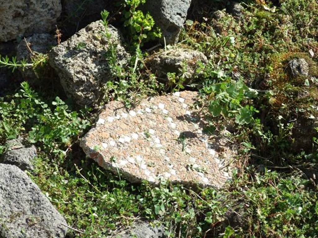 VII.2.16 Pompeii.  March 2009.  Near room 7 doorway, remains of floor mosaic.