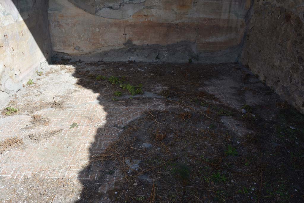 VII.2.16 Pompeii. October 2019. Oecus 10, detail of flooring.
Foto Annette Haug, ERC Grant 681269 D�COR.
