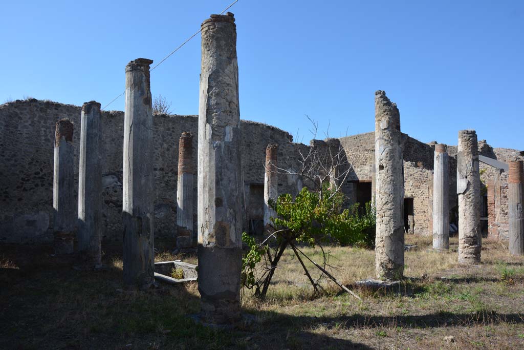 VII.2.16 Pompeii. October 2019. Looking north-west across peristyle from south end of east portico.
Foto Annette Haug, ERC Grant 681269 D�COR.

