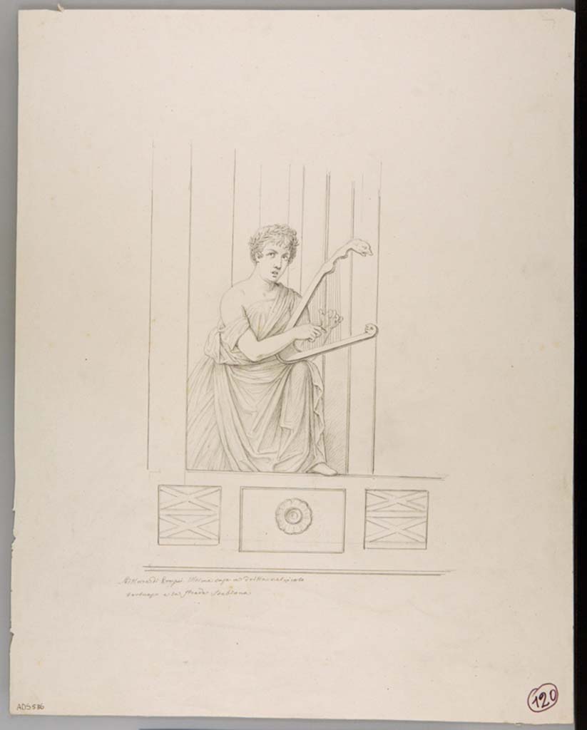 VII.2.16 Pompeii. Drawing attributed to Nicola La Volpe, of the Muse Erato from the left (east) side of the south wall.
Now in Naples Archaeological Museum. Inventory number ADS 536.
Photo � ICCD. http://www.catalogo.beniculturali.it
Utilizzabili alle condizioni della licenza Attribuzione - Non commerciale - Condividi allo stesso modo 2.5 Italia (CC BY-NC-SA 2.5 IT)
