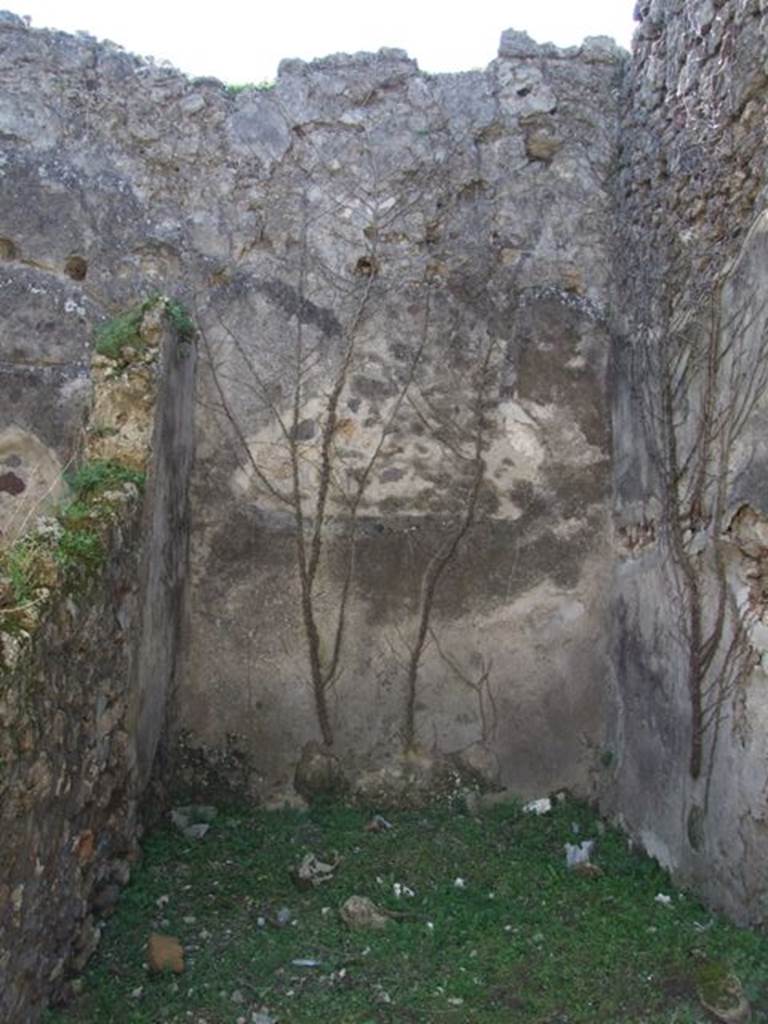 VII.2.16 Pompeii. March 2009. Room 19. Cubiculum. Looking south.