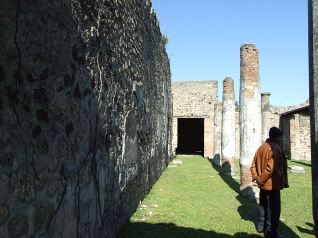 VII.2.16 Pompeii. March 2009. Looking north along west portico.