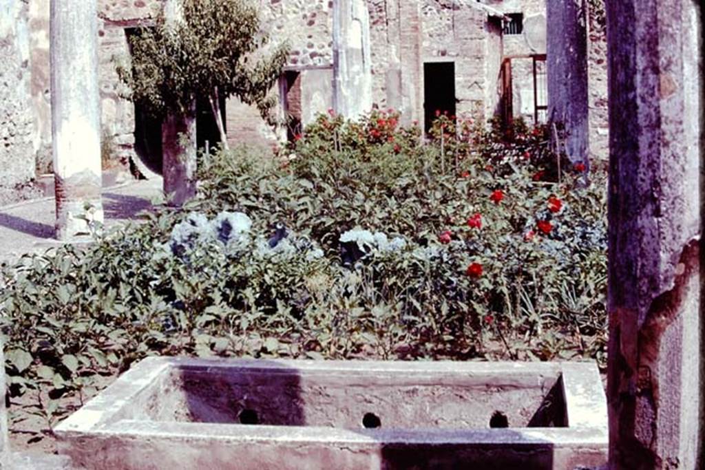 VII.2.16 Pompeii. 1977. Looking north across pool in peristyle towards atrium and entrance doorway. Photo by Stanley A. Jashemski.
Source: The Wilhelmina and Stanley A. Jashemski archive in the University of Maryland Library, Special Collections (See collection page) and made available under the Creative Commons Attribution-Non Commercial License v.4. See Licence and use details. J77f0464