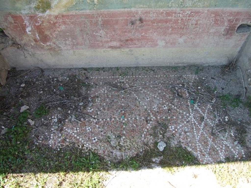 VII.2.16 Pompeii. March 2009. Decorative floor in lararium niche in west wall of portico. According to Boyce, along the west portico there were two large niches, one with wooden doors, the other recess for two large cupboards. On the ground before the one with wooden doors, were found the following bronze statuettes:
Fortuna wearing a turreted crown and holding a cornucopia and rudder.
Minerva wearing a helmet and holding a spear and patera.
Apollo with quiver on his shoulder holding a laurel branch and patera.
A wreathed Lar, standing on a base of lead.
The bust of a female figure from a herm.
Also found were other objects, among them gold earrings, a bronze bracelet, 373 pieces of coral and a small amphora of glass. There seemed to be a discrepancy as to the actual find spot, as Boyce remarks that on page 19 of the Giorn.Scavi, this is given as within the niche fitted with the wooden doors.
On page 26, it says found on the ground before it. Fiorelli agrees with them being found on the ground before the niche.
Giorn.Scavi, N. S., I, 1868, pp.19, 26.
See Boyce G. K., 1937. Corpus of the Lararia of Pompeii. Rome: MAAR 14. (p. 62, no. 251)
See Pappalardo, U., 2001. La Descrizione di Pompei per Giuseppe Fiorelli (1875). Napoli: Massa Editore. (p. 81)