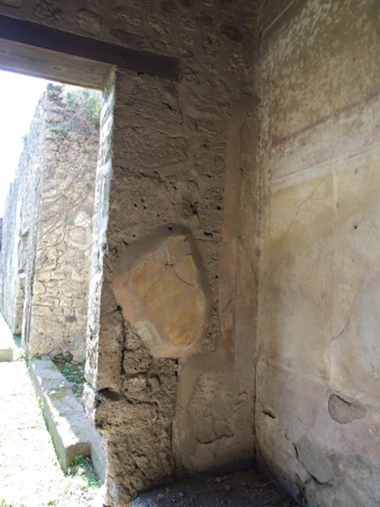 VII.2.16 Pompeii. March 2009. Room 20, south-west corner of triclinium, and looking south along west portico.