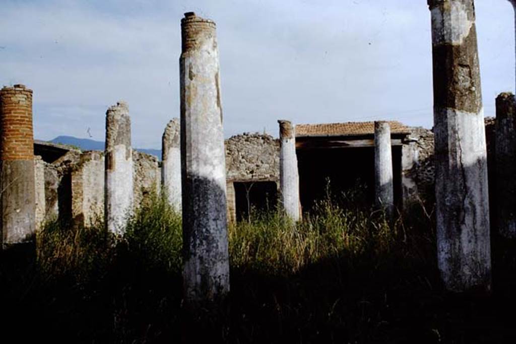 VII.2.16 Pompeii. 1964. Looking south-east across peristyle garden, from north portico. Photo by Stanley A. Jashemski.
Source: The Wilhelmina and Stanley A. Jashemski archive in the University of Maryland Library, Special Collections (See collection page) and made available under the Creative Commons Attribution-Non Commercial License v.4. See Licence and use details.
J64f1325