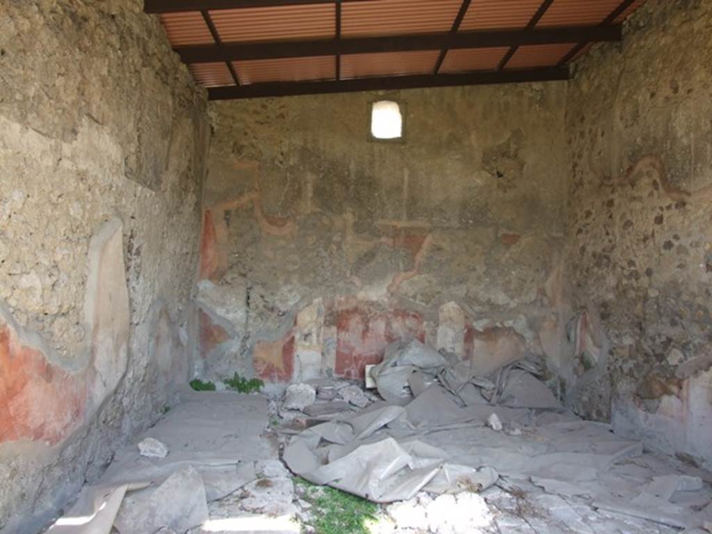 VII.2.16 Pompeii. March 2009. Room 3. Oecus. North wall.
