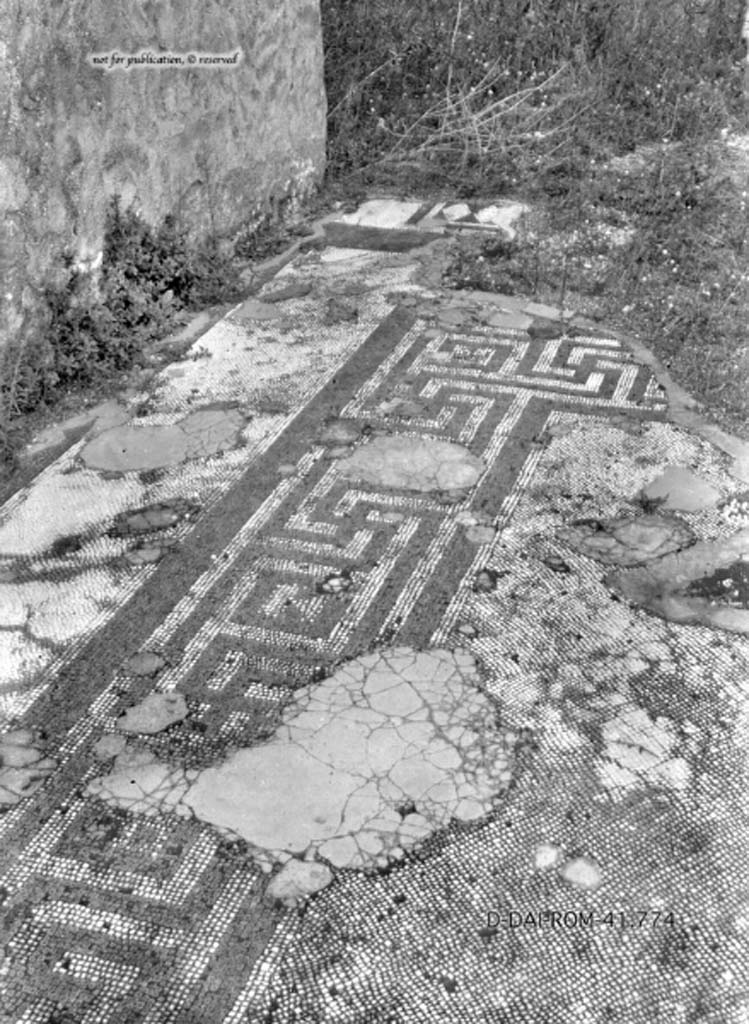 VII.2.18 Pompeii. c.1930. Flooring in tablinum.
DAIR 41.774. Photo © Deutsches Archäologisches Institut, Abteilung Rom, Arkiv.
See Pernice, E. 1938. Pavimente und Figürliche Mosaiken: Die Hellenistische Kunst in Pompeji, Band VI. Berlin: de Gruyter, (tav. 49,2, above.)