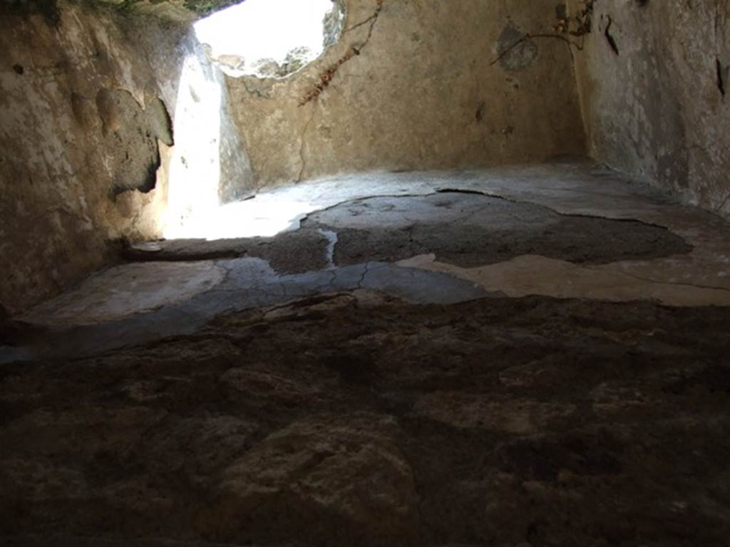 VII.2.18 Pompeii. March 2009. Room 16. West wall, looking upwards.