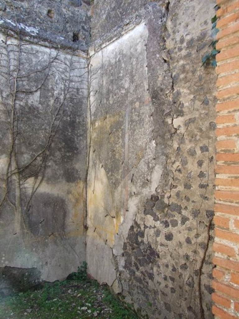 VII.2.18 Pompeii. March 2009. Room 4, south wall of cubiculum.