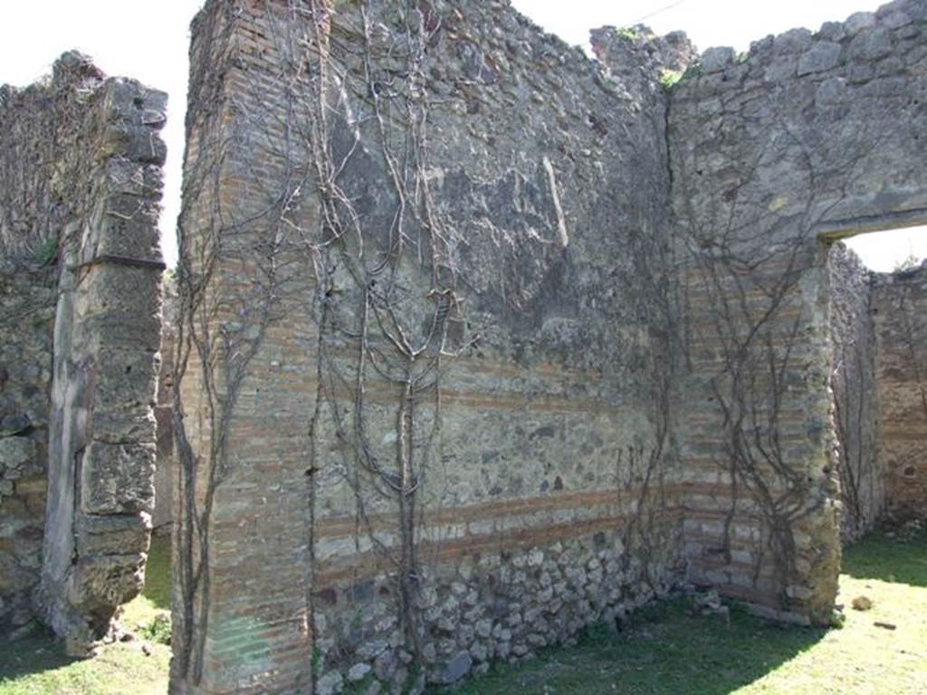 VII.2.20 Pompeii. March 2009. Room 8, east wall of north part of double tablinum.