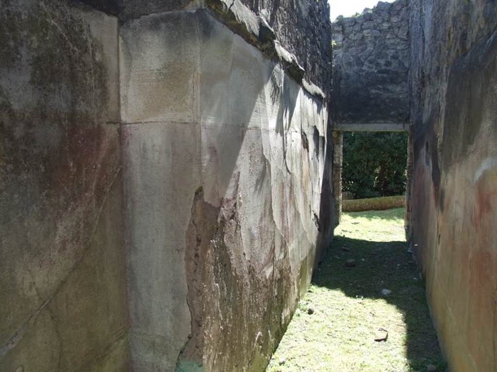 VII.2.20 Pompeii. March 2009. Room 9. East wall of Corridor. Looking south.