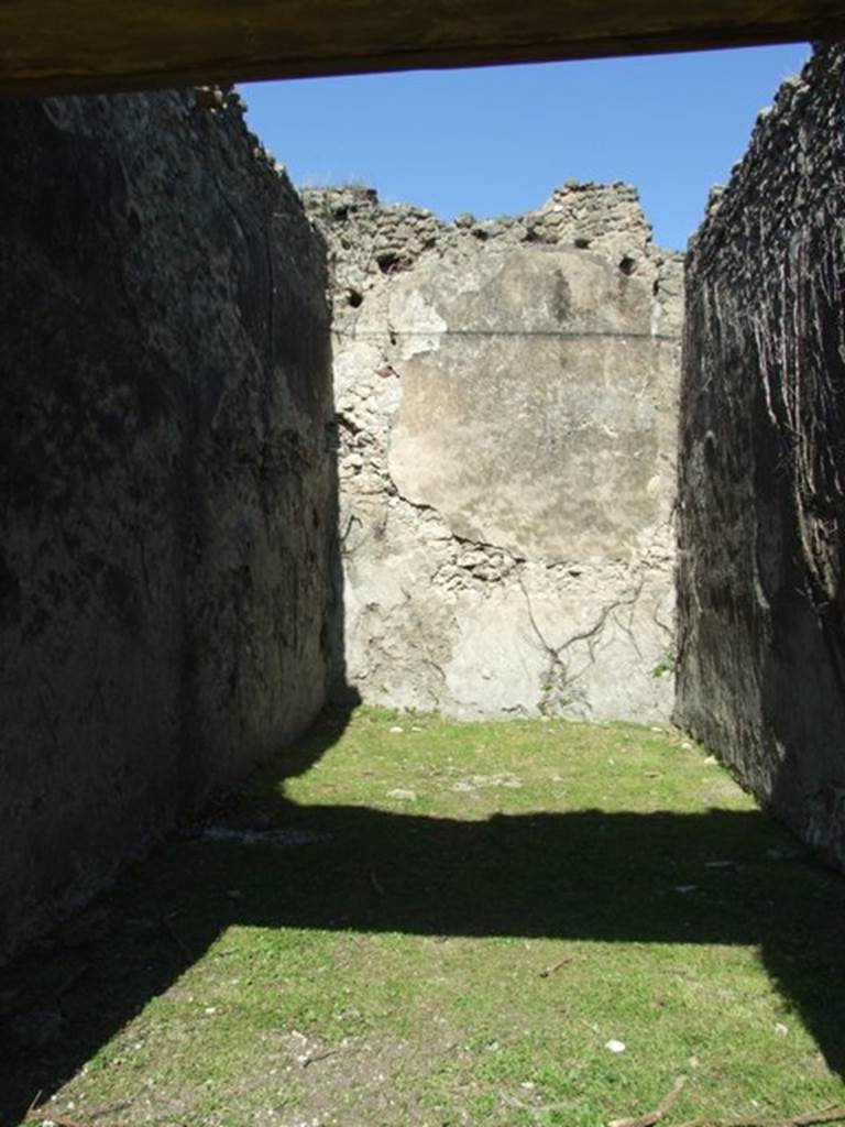 VII.2.20 Pompeii. March 2009. Room 11. Triclinium. Looking north.