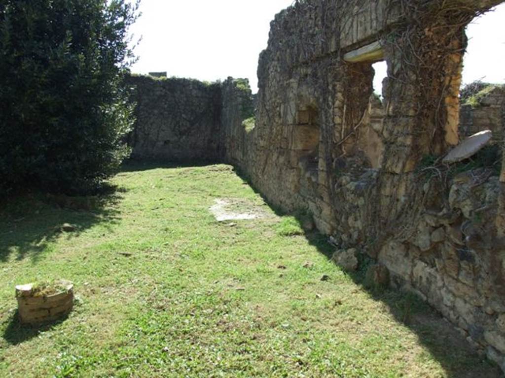 VII.2.20 Pompeii. March 2009. Looking south along west portico, from outside Room 12.