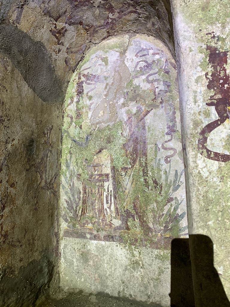 VII.2.20 Pompeii. November 2024.
Painted lararium niche on north wall at west (left) side. Photo courtesy of Yuliya Sanchenko.
