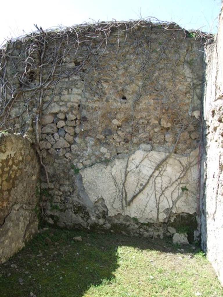 VII.2.20 Pompeii. March 2009. Room 18. Cubiculum.West wall.