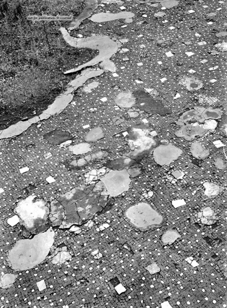 VII.2.20 Pompeii. c.1930. Flooring in atrium.
DAIR 41.640. Photo © Deutsches Archäologisches Institut, Abteilung Rom, Arkiv.
See Pernice, E. 1938. Pavimente und Figürliche Mosaiken: Die Hellenistische Kunst in Pompeji, Band VI. Berlin: de Gruyter, (tav. 20,2, above.)