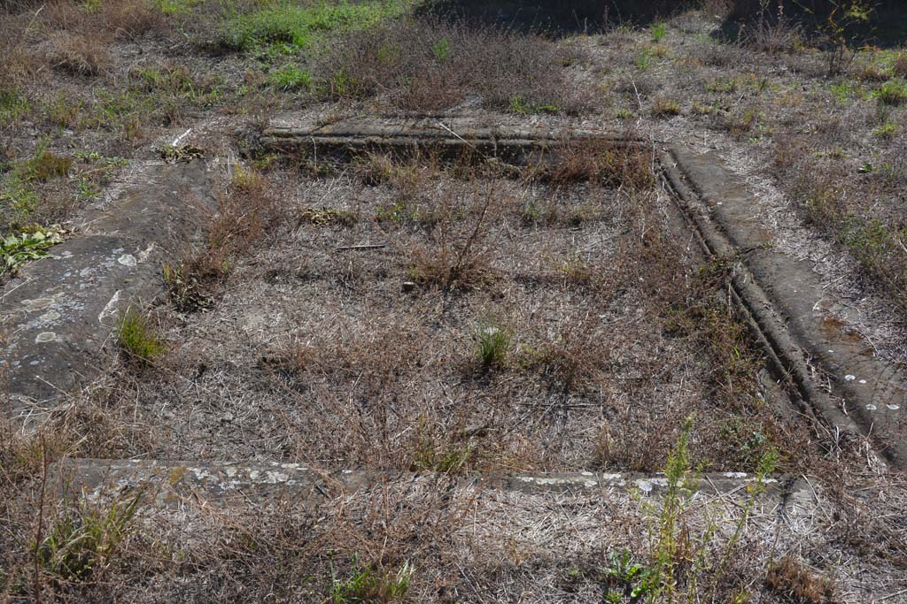 VII.2.20 Pompeii. October 2019. Looking south across impluvium in atrium.
Foto Annette Haug, ERC Grant 681269 DÉCOR.