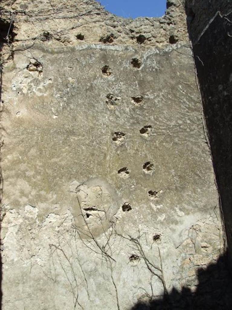 VII.2.20 Pompeii. March 2009. Room 3. Cubiculum. North wall.