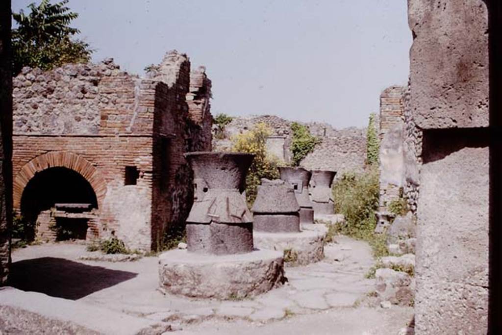 VII.2.22 Pompeii. 1964. Looking east from entrance doorway. Photo by Stanley A. Jashemski.
Source: The Wilhelmina and Stanley A. Jashemski archive in the University of Maryland Library, Special Collections (See collection page) and made available under the Creative Commons Attribution-Non Commercial License v.4. See Licence and use details.
J64f0885
