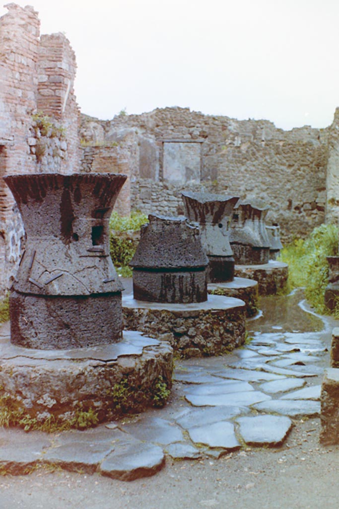 VII.2.22 Pompeii. 4th April 1980, pre-earthquake.
Looking east along four mills in bakery. Photo courtesy of Tina Gilbert.