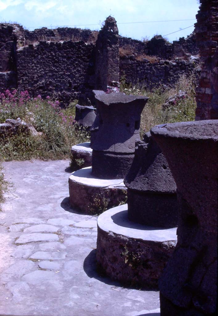 VII.2.22 Pompeii. July 1980. Looking east across mills in bakery.
Photo courtesy of Rick Bauer, from Dr George Fay’s slides collection.