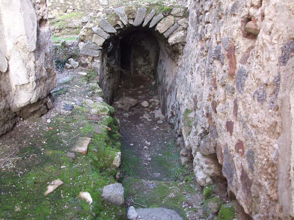 VII.2.23 Pompeii. December 2006. Entrance to cellar.