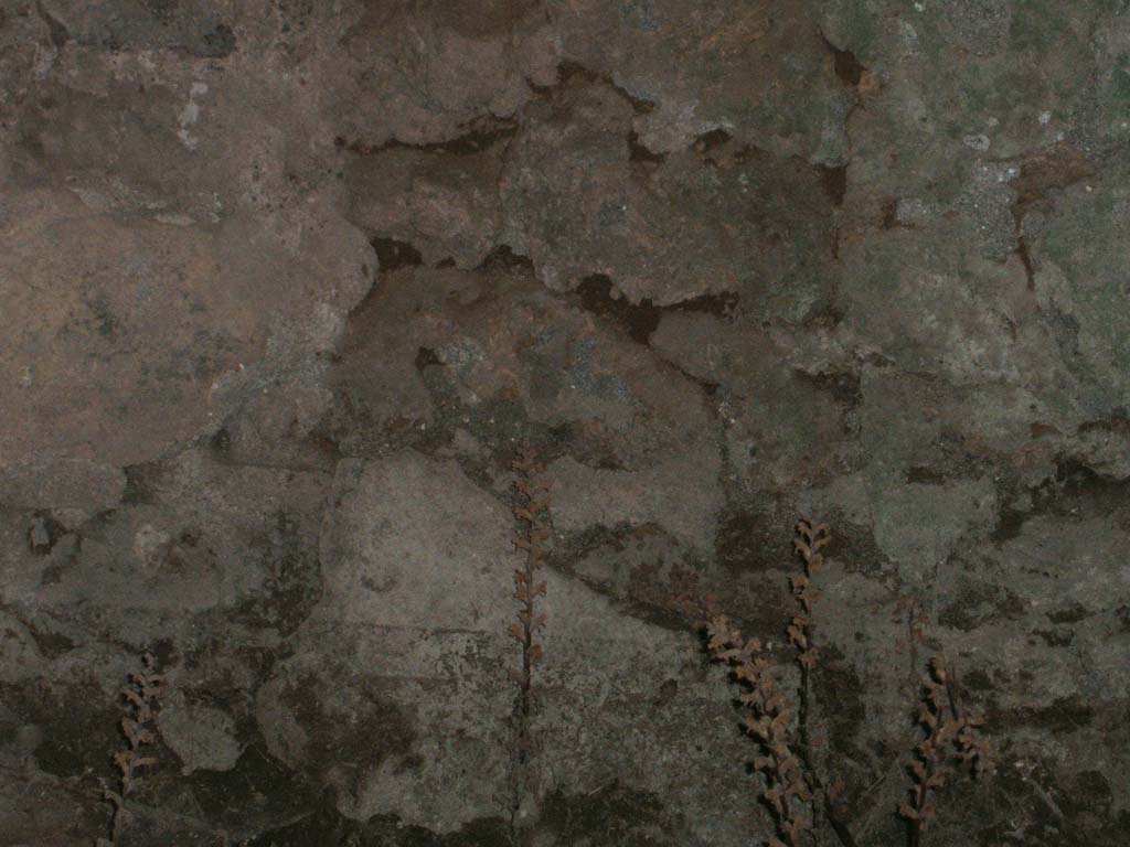VII.2.23 Pompeii. December 2004. Cellar.