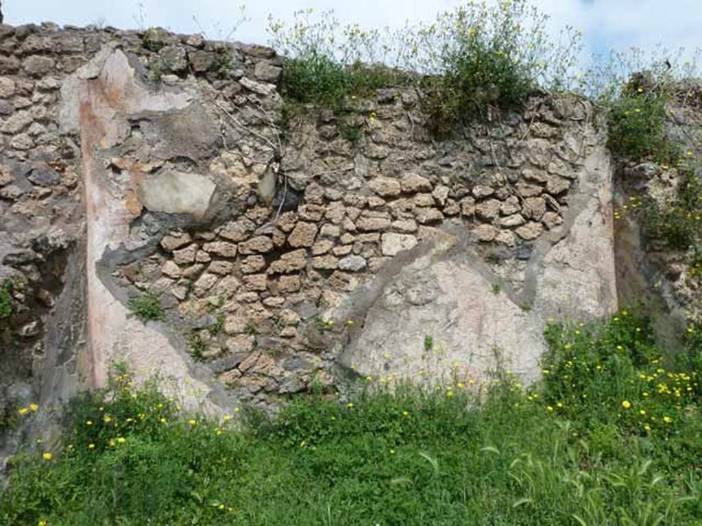 VII.2.35 Pompeii. May 2010. North wall of garden.