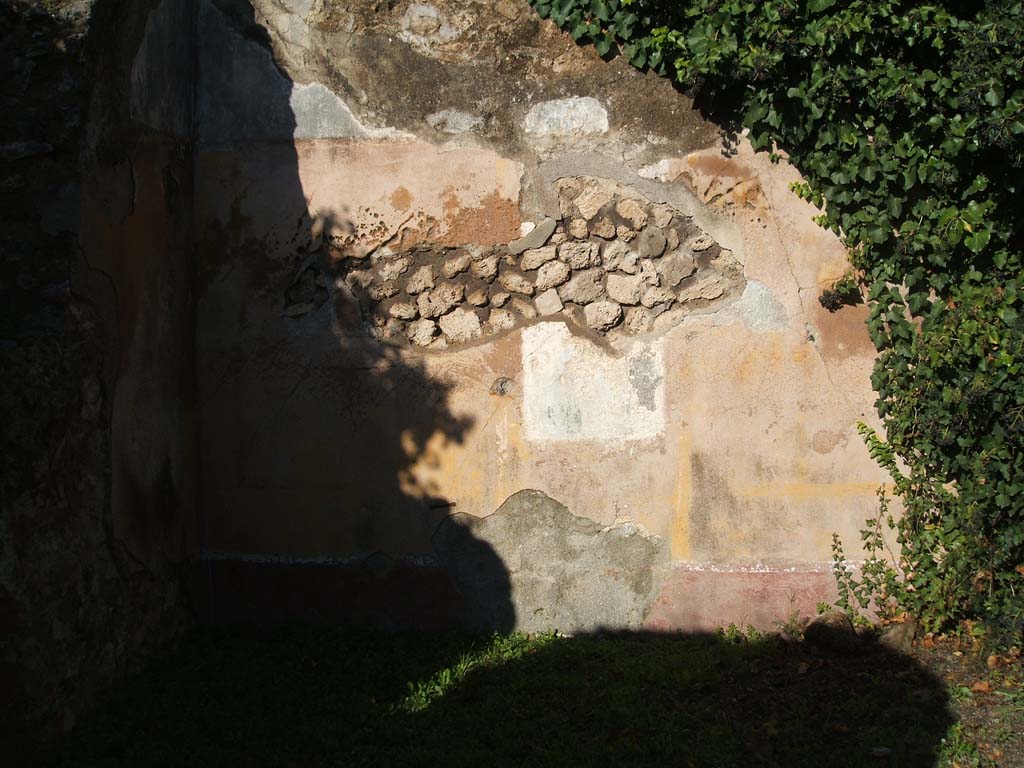 VII.2.38 Pompeii. December 2004. North wall of tablinum.
This wall was painted with a red zoccolo (lower part) which had three wide panels containing painted plants.
The middle area of the wall was painted yellow with a central wall painting. The upper wall was painted white.
