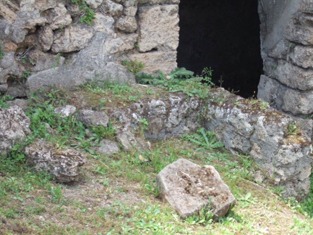 VII.2.41 Pompeii. May 2006. Near west wall.