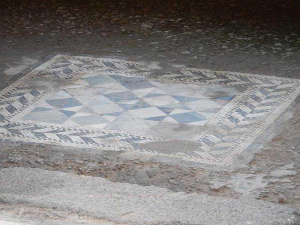 VII.2.45 Pompeii, May 2018. Flooring from cubiculum in centre of east side of atrium.
Photo courtesy of Buzz Ferebee.
