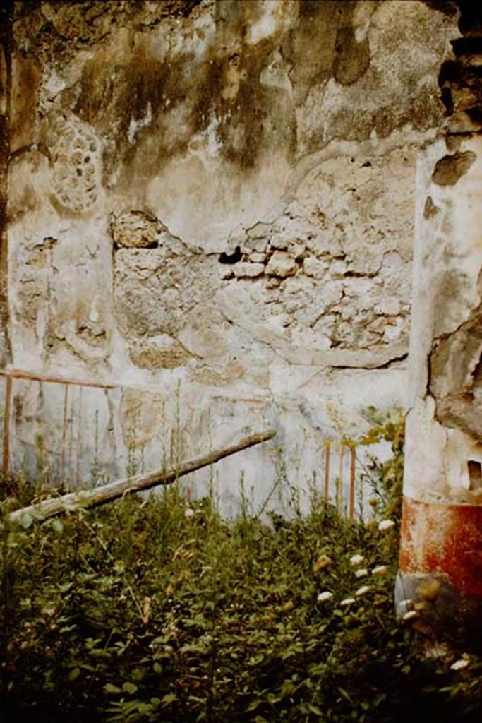 VII.2.48 Pompeii. 1959. North wall of garden area. Photo by Stanley A. Jashemski.
Source: The Wilhelmina and Stanley A. Jashemski archive in the University of Maryland Library, Special Collections (See collection page) and made available under the Creative Commons Attribution-Non Commercial License v.4. See Licence and use details. J59f0403
According to PPM, the area had a simple decoration with a low black zoccolo (dado or plinth) with splashes of yellow and panels with painted plants. The middle zones of the walls were also black and contained panels separated by narrow compartments crossed by golden candelabra. Above these, the walls were covered with a rough plaster, visible under which were the remains of a more ancient decoration.
See Carratelli, G. P., 1990-2003. Pompei: Pitture e Mosaici, vol. VI. Roma: Istituto della enciclopedia italiana. (p.800)
