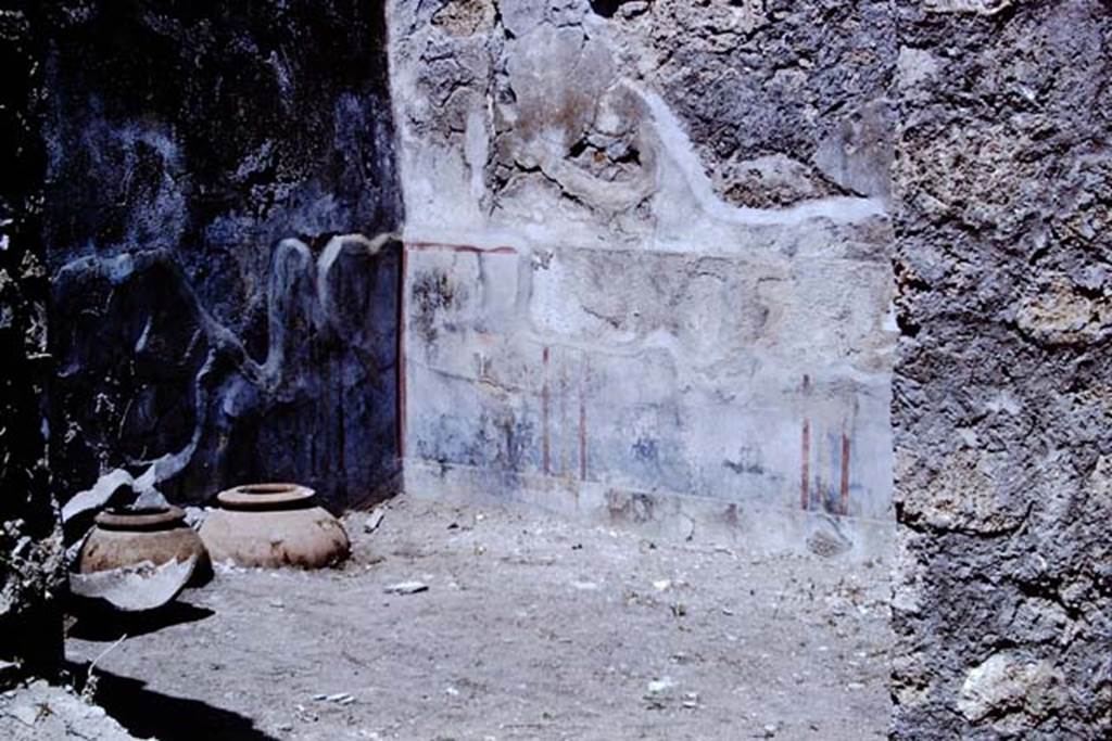 VII.2.48 Pompeii. 1966. Looking towards the north-west corner, and row of dolia embedded in the soil near the west wall. Photo by Stanley A. Jashemski.
Source: The Wilhelmina and Stanley A. Jashemski archive in the University of Maryland Library, Special Collections (See collection page) and made available under the Creative Commons Attribution-Non Commercial License v.4. See Licence and use details. J66f0473