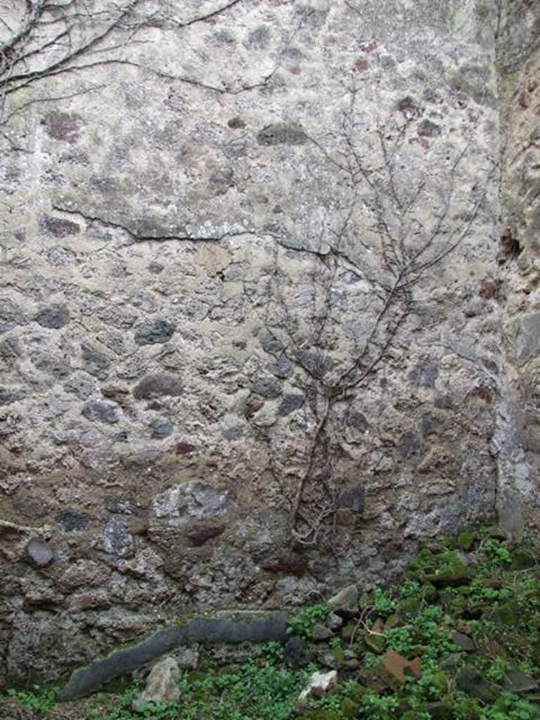 VII.3.4 Pompeii. March 2009. South wall of storeroom.