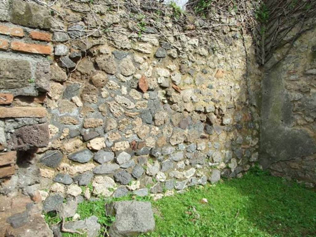 VII.3.4 Pompeii. March 2009. Room at rear of shop. East wall.
